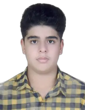پارسا حقانی‌پور