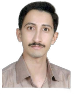 مجتبی باغبان