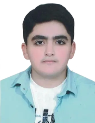 محمدمهدی دلام